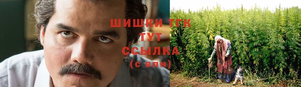mdpv Богородицк