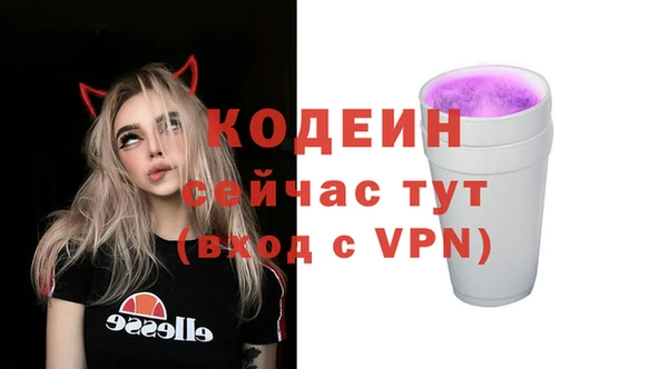 mdpv Богородицк