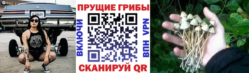 мега ссылка  Бутурлиновка  Псилоцибиновые грибы ЛСД 
